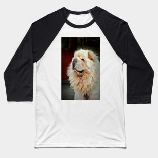 Tibetan Mastiff Baseball T-Shirt